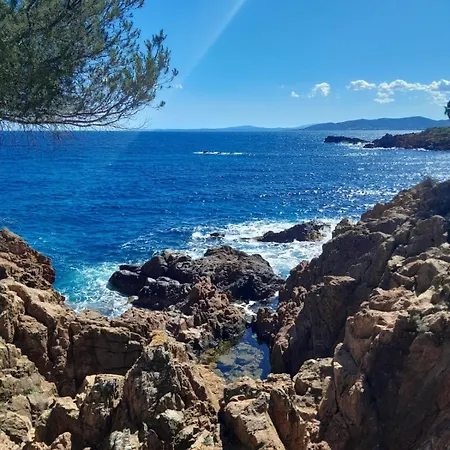 10 Mn On Foot From Beaches, Tgv Station And Center With Swimming Pool Villa *