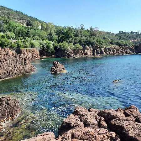 10 Mn On Foot From Beaches, Tgv Station And Center With Swimming Pool Saint-Raphaël
